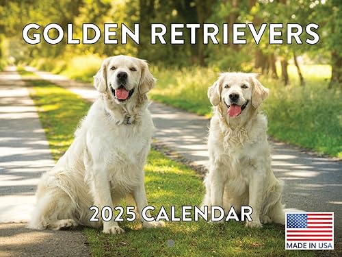 Vista 387 de Calendario Goldendoodle 2026 Golden Doodle mensual de pared calendario de 12 meses Fabricado en Estados Unidos