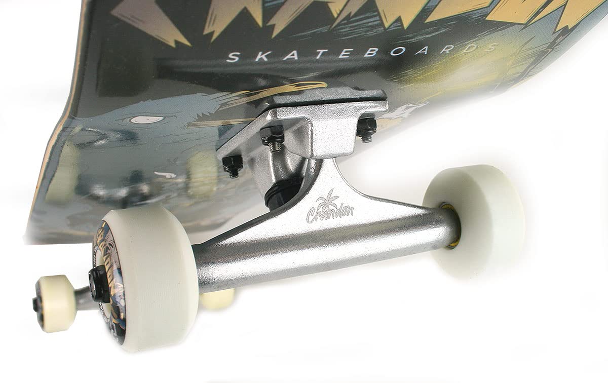 SKCFLORIDA-5,25-Raw Incluye 2 Packs Trucks Eje 5'25 Pulgadas (Longitud 20,5 cm) - Valido Principiantes y Profesionales y Todos los Skateboard del Mercado (5'25)