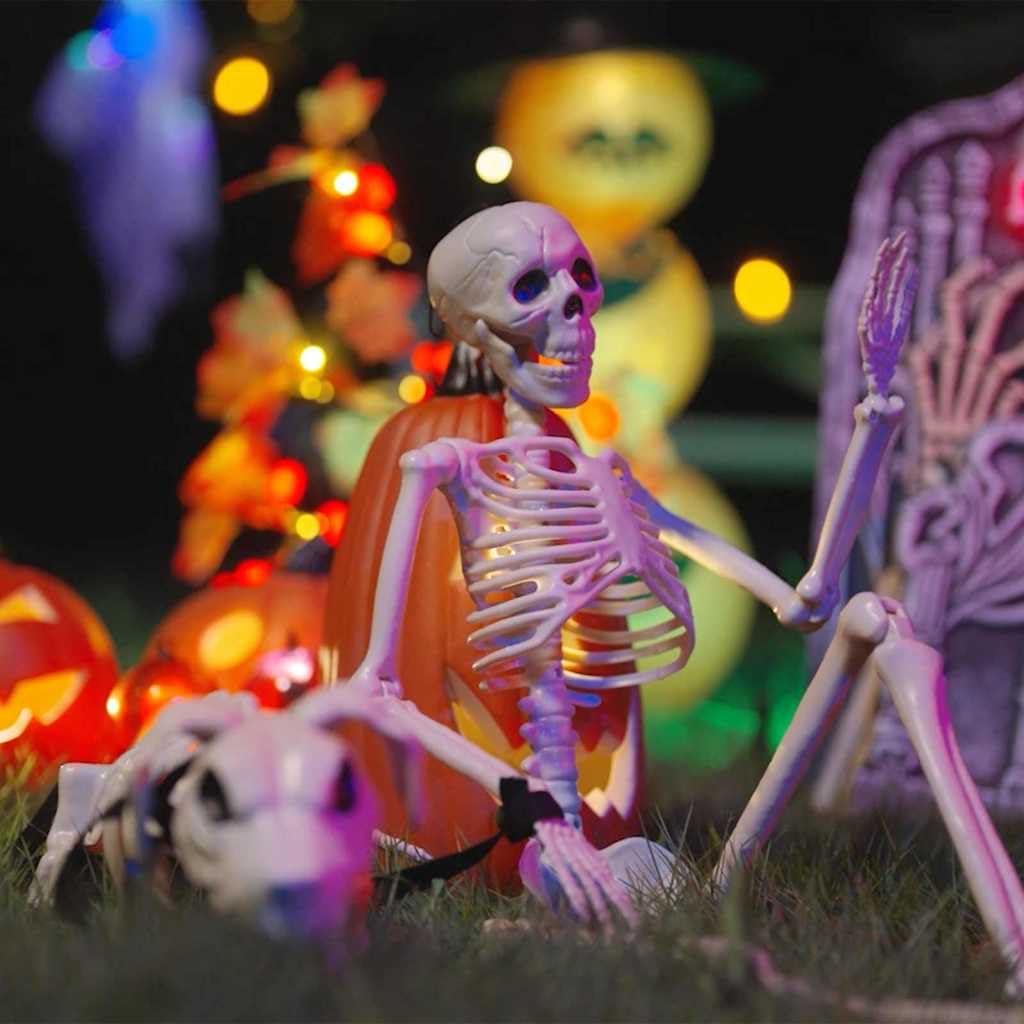 Squelettes décoratifs d'Halloween en polypropylène blanc avec squelette pour chien