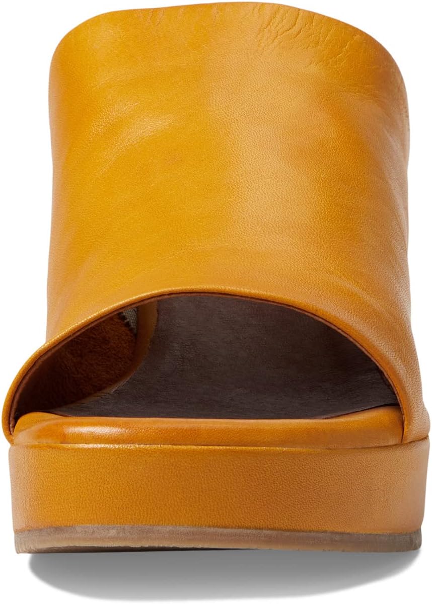 Top View