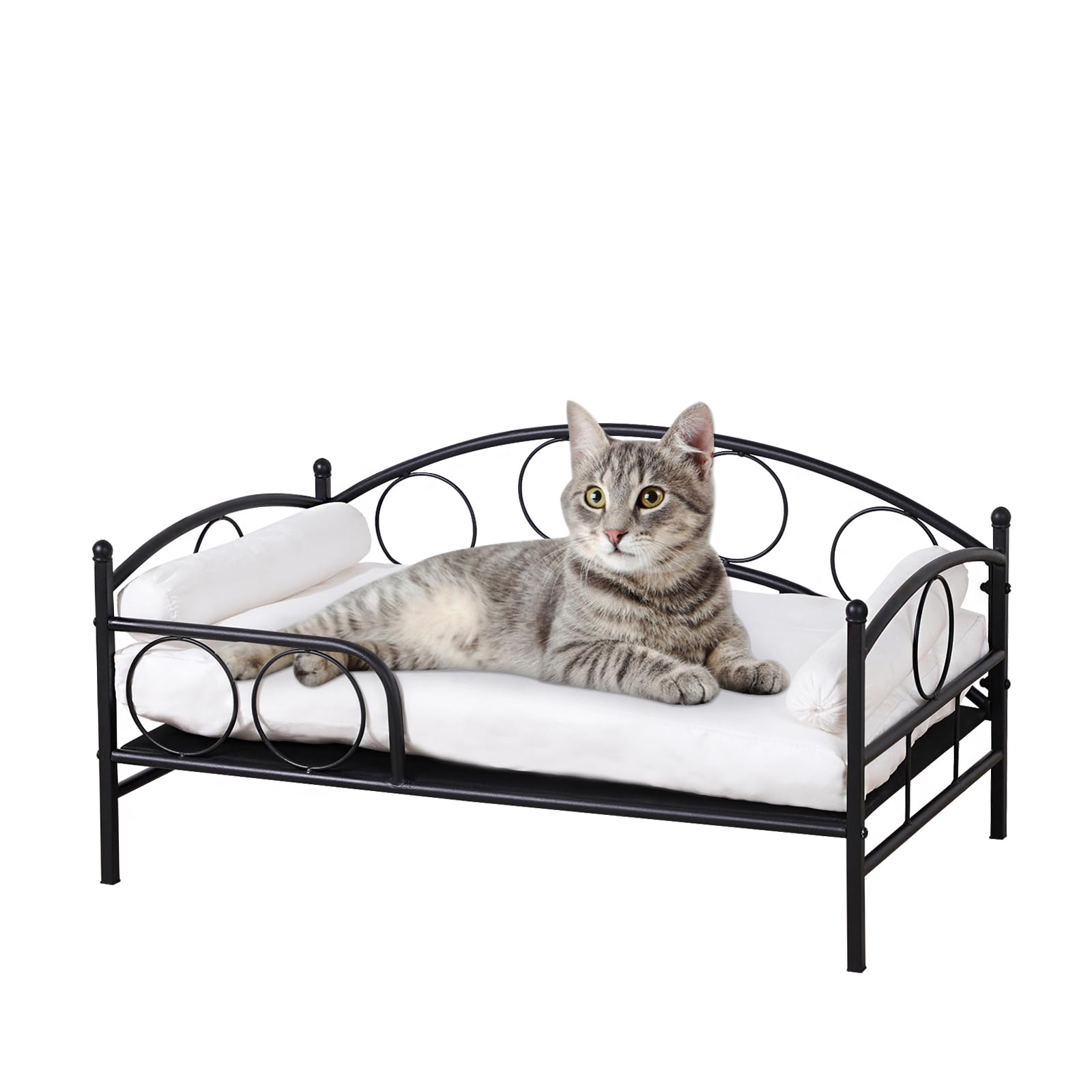 Hundebett/Katzenbett Als Sofa - Metallrahmen, Abnehmbares Weißes Kissen, Für Kleine Rassen (Schwarz)