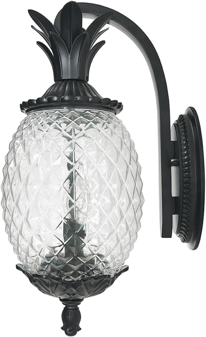 Acclaim 7502BK Lanai Collection 2-Light Wall Mount Outdoor Light Fixture, Matte Black