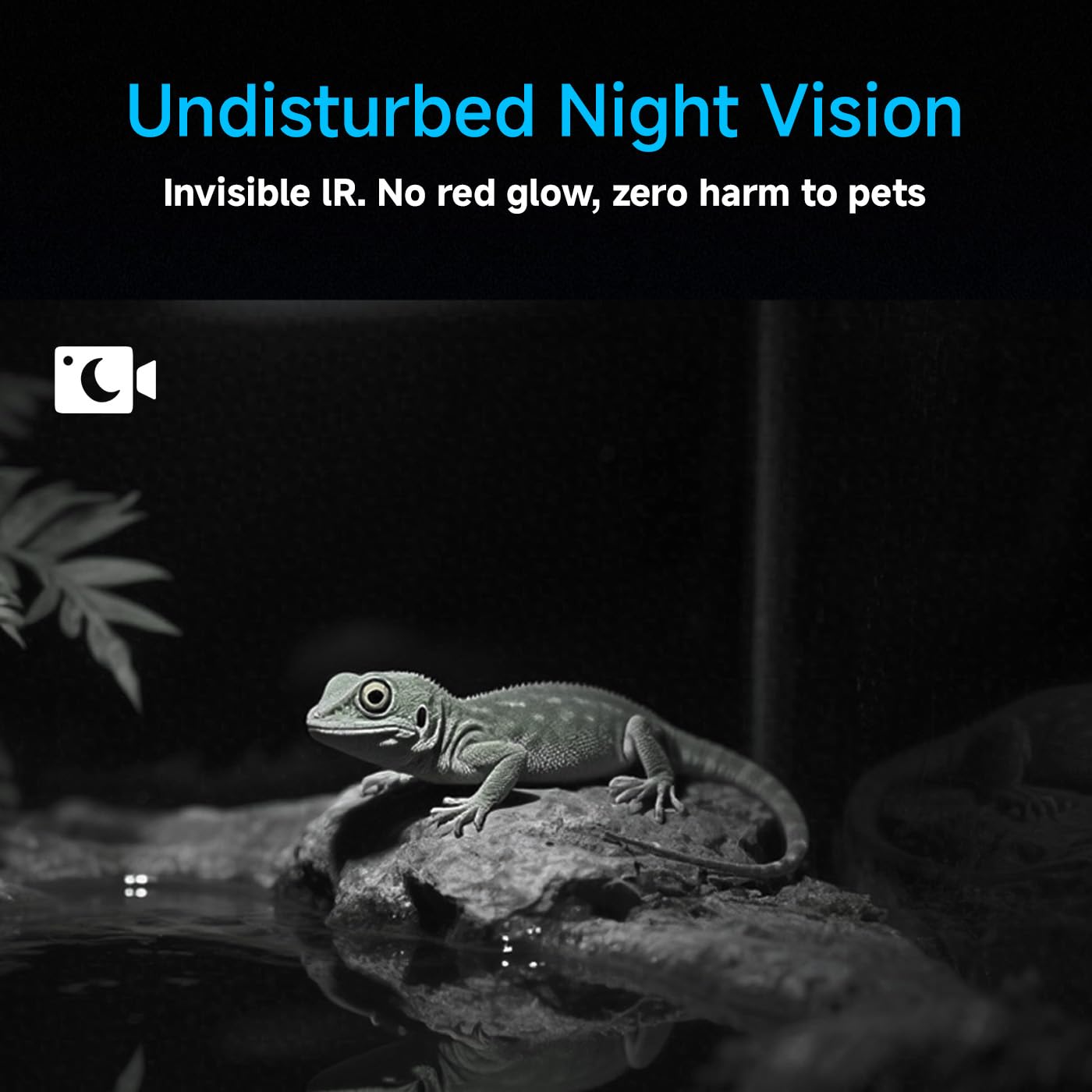 Caméra WiFi 2K HD pour aquarium et terrarium, grand angle 140°, vision nocturne, audio bidirectionnel