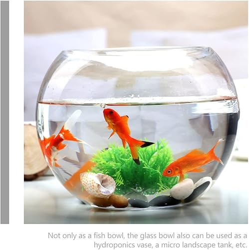 Miniatura 4 de ERINGOGO Jarrón de vidrio redondo de vidrio para peces, cuenco de acuario transparente para pecera Betta Goldfish Flower | Florero de centro de mesa