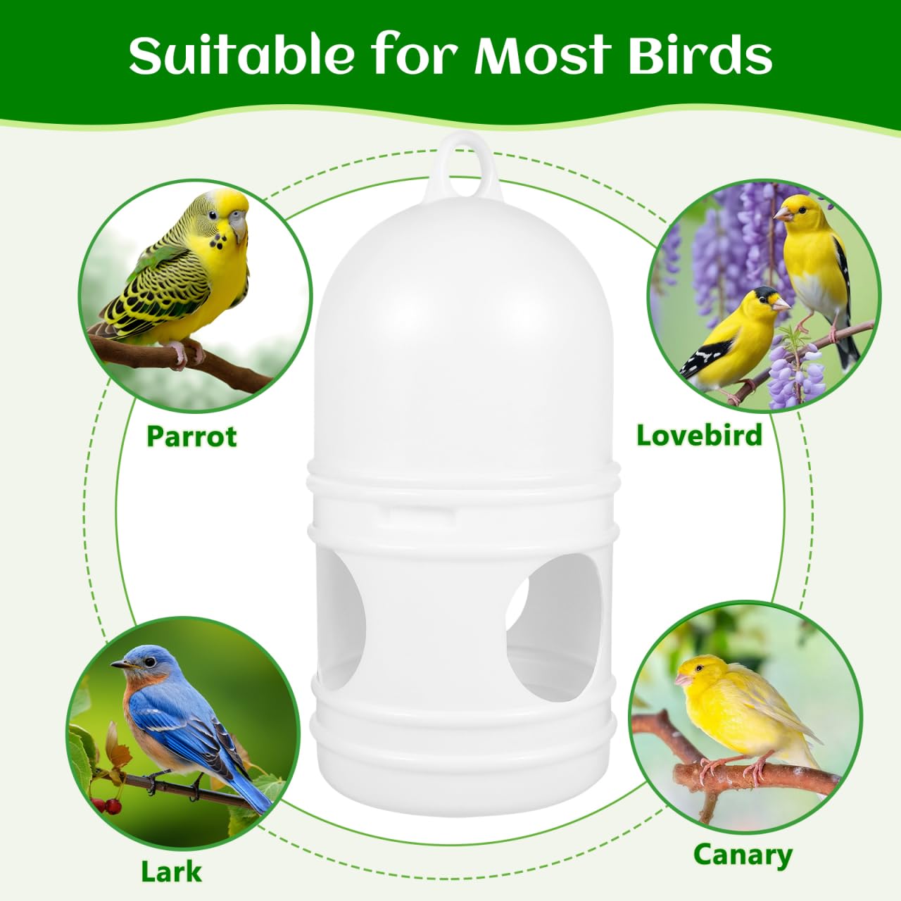 balacoo Dispensador de agua para pájaros: 2 comederos de agua para palomas, hervidor de agua desmontable para palomas, botella de agua universal para pájaros, práctico dispensador de agua para