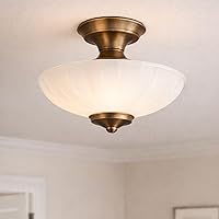 Vista 1 de LIGHTACCENTS Reemplazo de pantalla de vidrio para lámpara de techo, luz de techo empotrada y cubierta de lámpara de hongo, 11.69 pulgadas