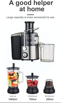 juicy Amazon.com: DJXIK 800 W Fruit and Vegetable Juicer