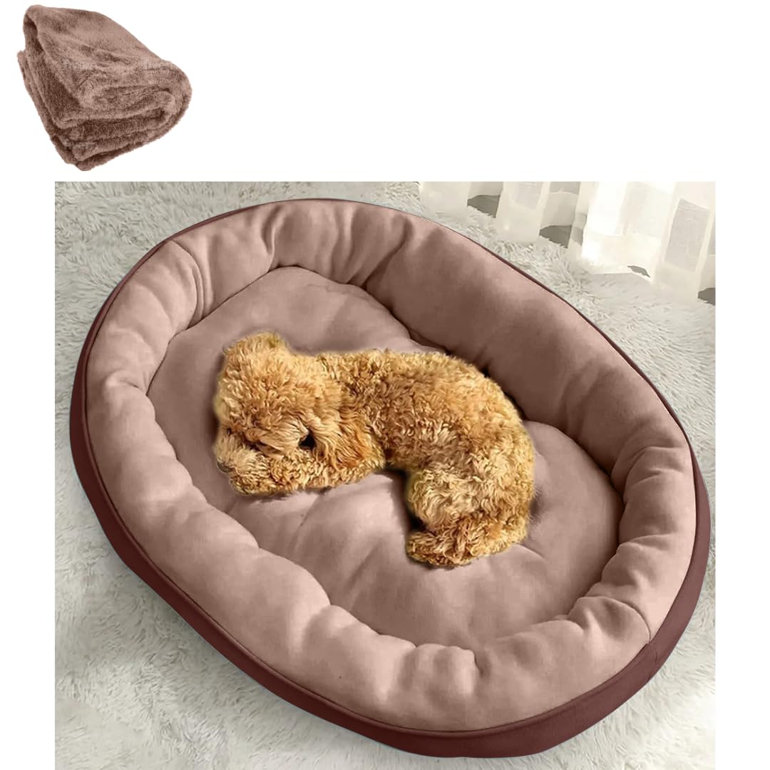 DRILLY Washable Dog/cat Bed with Blanket for Small | Medium | Large| Extra Large | XXL | XXXL | 4XL Size Dogs | Cats | Puppy | pet | Rabbit | Persian cat | Indoor cat (L) (B0D62PNBG4) Amazon Price History, Amazon Price Tracker