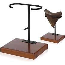 Chunful 1 Pc Megalodon Shark Tooth Display Stand Metal Shark Tooth Holder Display Easel Holder for Slab Slice Fossil Flat Crystals and Minerals, 4 x 4.5 Wood Base