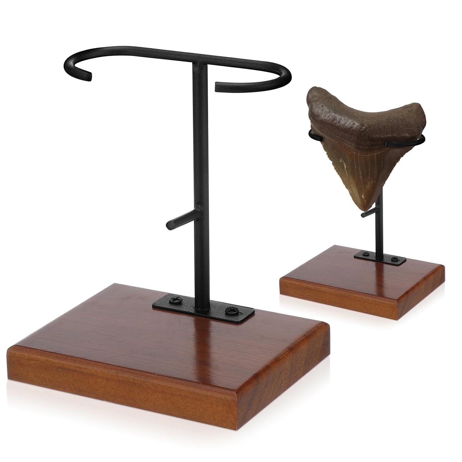 Chunful 1 Pc Megalodon Shark Tooth Display Stand Metal Shark Tooth Holder Display Easel Holder for Slab Slice Fossil Flat Crystals and Minerals, 4 x 4.5'' (Wood Base)