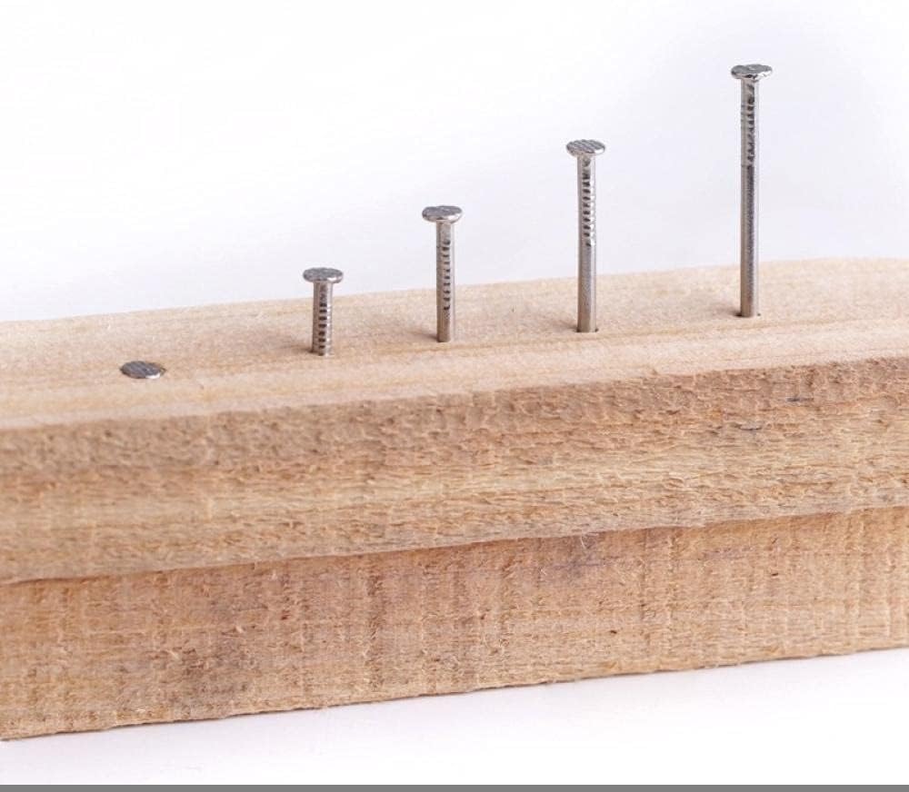 Steel Wall Staples Corrosion-resistant Nails Home Improvement Nails Flat Head Nails,Woodworking Nails, Wall Staples, Small Nails, 304 Stainless Steel Nails, Long Solid Board, Self-Tapping Screw