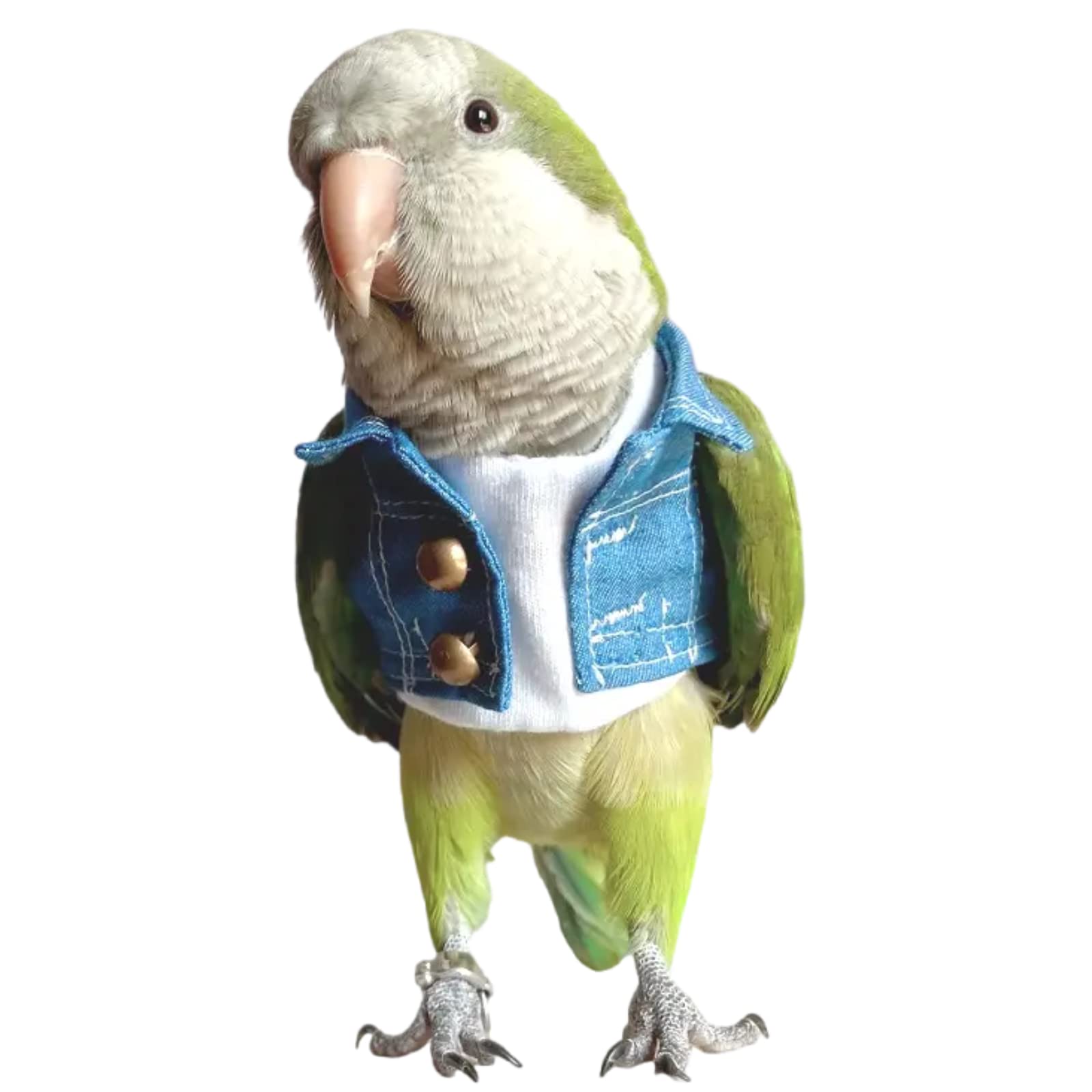 Bird Costume Bird Diaper Flight Suit Bird Jeans Fake Two Pieces Bird Clothes Cosplay Photo Prop for Parrots Lovebird Parakeet Cockatiel Small Animals
