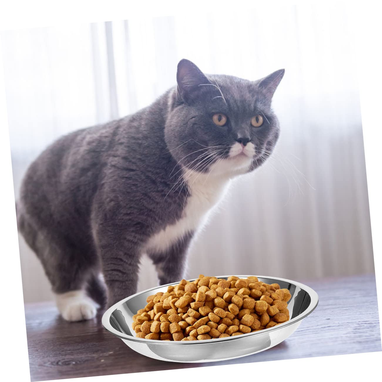 POPETPOP 20 Pezzi Ciotola Per Gatti In Acciaio Inossidabile Ciotola Per Cani In Acciaio Inox Ciotole In Acciaio Inossidabile Per Cani Ciotole Per Cibo Per Gatti In