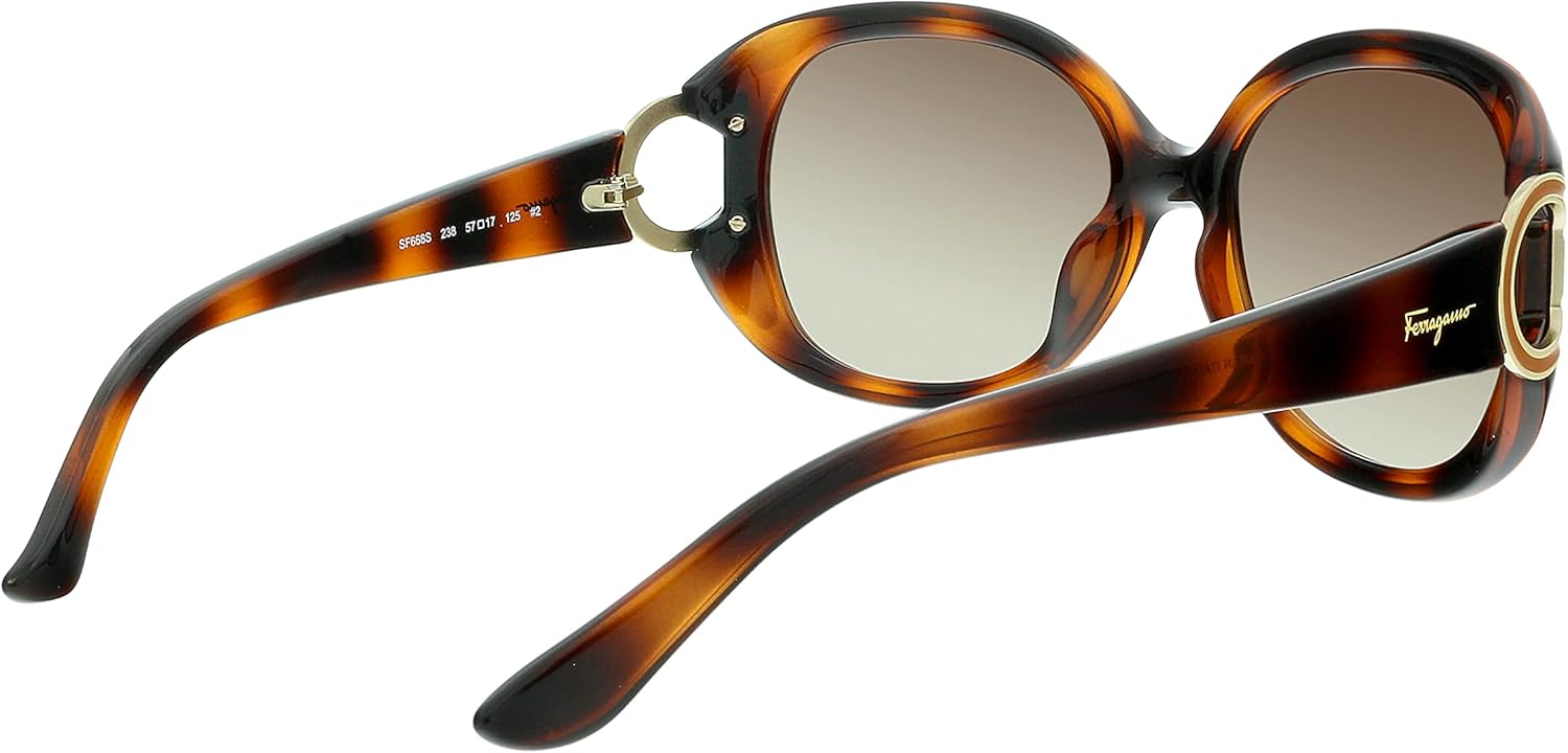 Women's Sunglasses by Salvatore Ferragamo SF668S Nigeria Ubuy