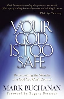 Your God Is Too Safe Rediscovering the Wonder of a God You Cant Control
