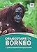 Produktbild Orangutans in Borneo: A guide to responsible orangutan tourism