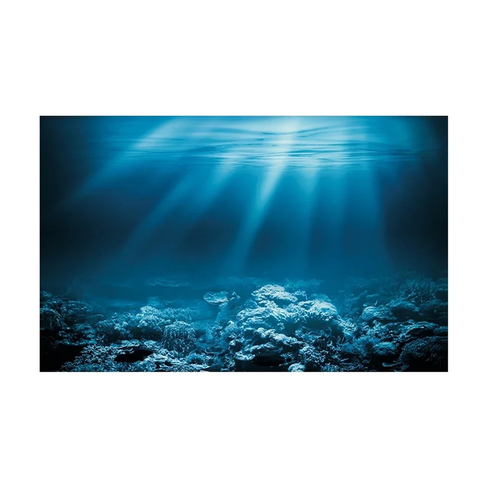Fondo Acuario Adhesivo de Fondo for pecera, Paisaje Submarino, decoración Acuario PVC(BLUE2,50x90cm)