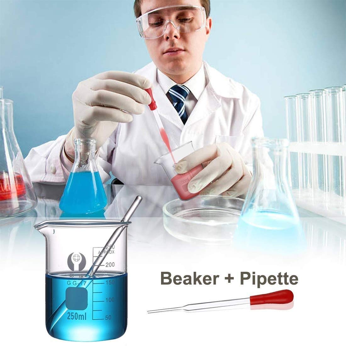 Probeta de Laboratorio para Ciencias, Juego de pipetas cilíndricas y Vasos de Vidrio con Varillas agitadoras y cepillos, Paquete de 18 tamaños múltiples(2 pcs 250ML)