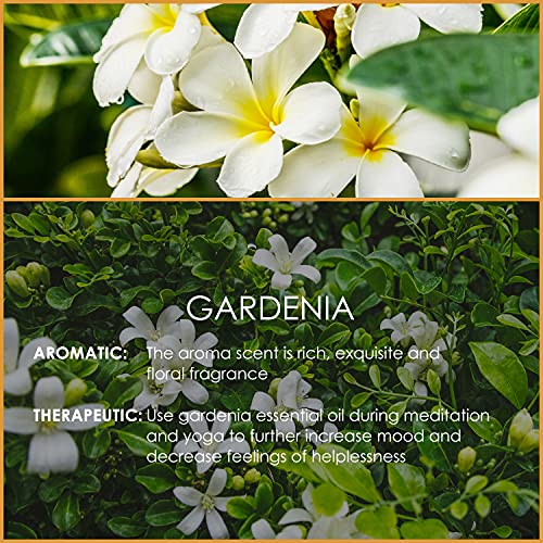 Gardenia Essential Oil 4 Fl Oz (120Ml) - Pure And Natural Fragrance Oil, Gardenia Oil For Aromatherapy, Diffusers, Candle Making, Massage, Soap, Perfume #TOP2