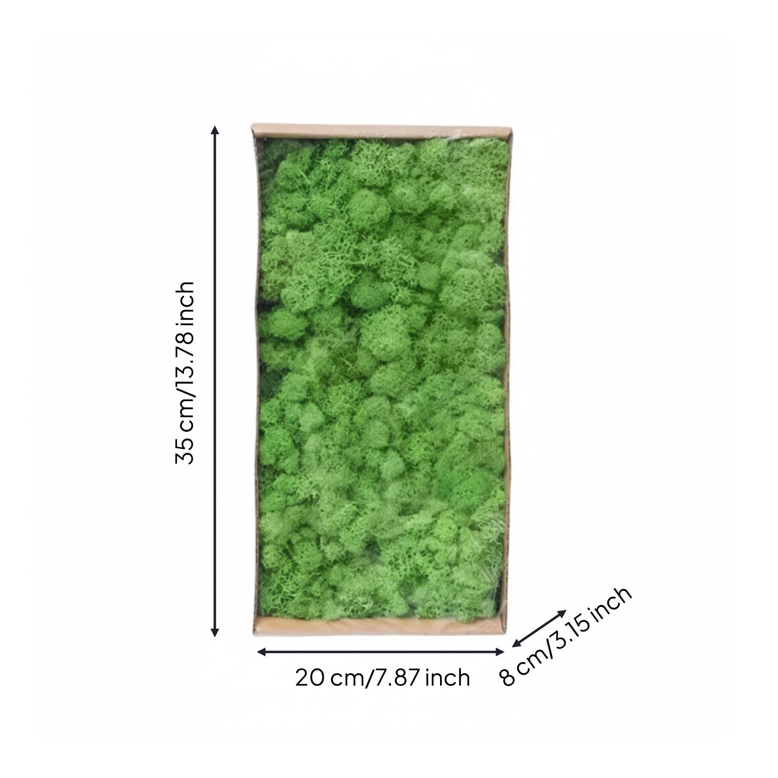 Muschio Stabilizzato Resistente Muschio Decorativo Flessibile Piante per Decoratori, Verde 2