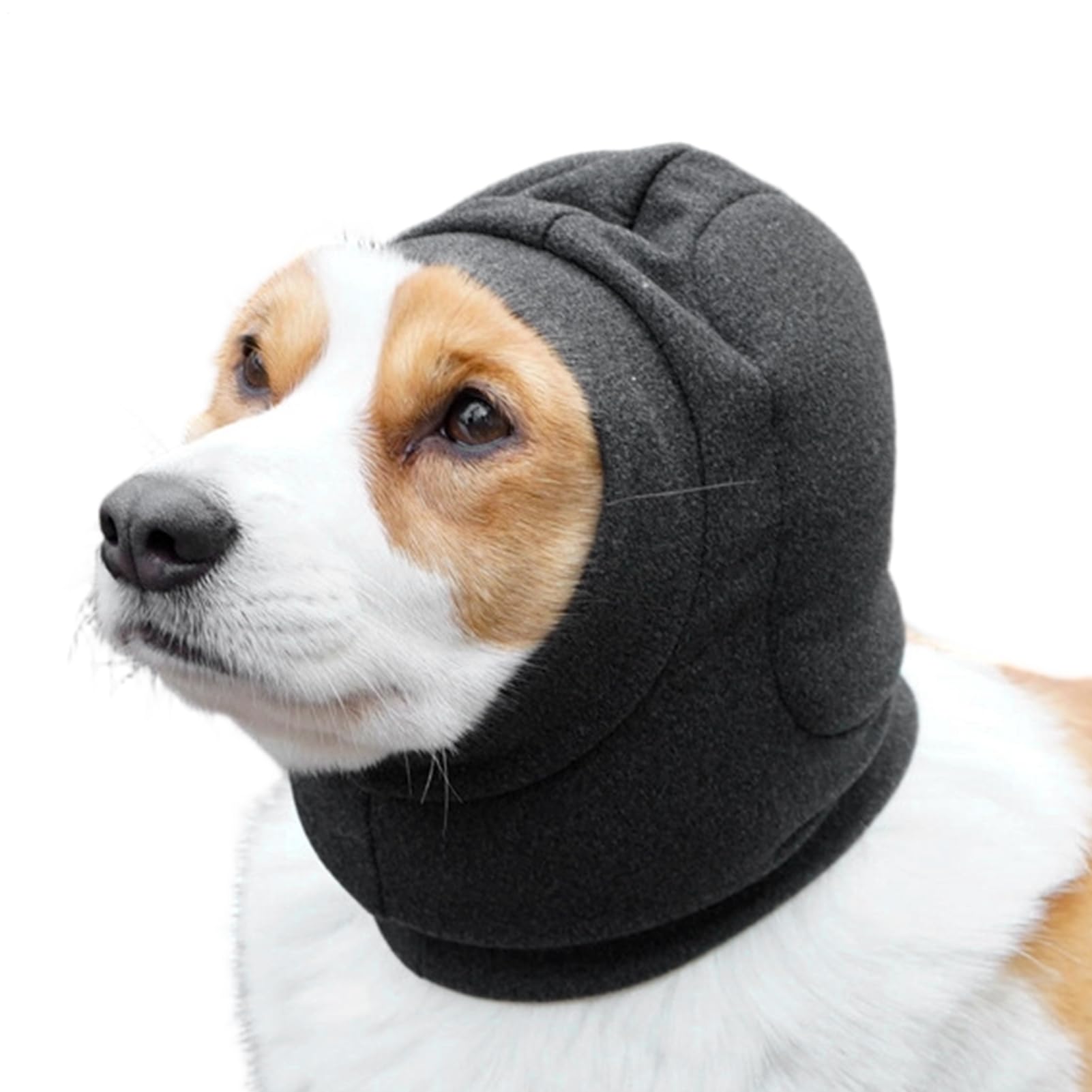 Suppression du bruit pour chien stressé par les orages et le toilettage