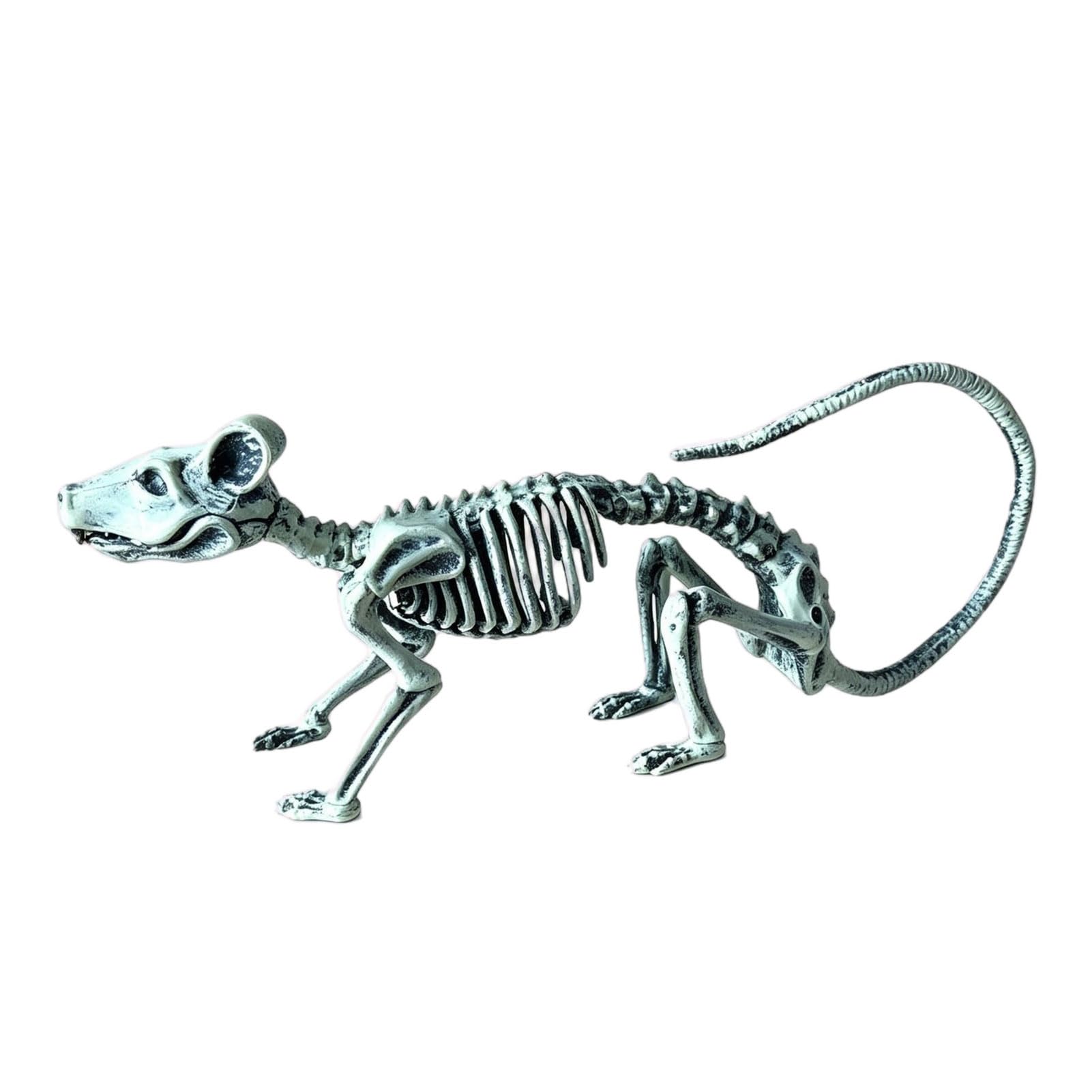 sugerou Halloween Ornaments, Animal Skeleton Figurine Set Realistic Crow Scorpion Bone Props for Haunted House Plastic Skull Decor Party Gift C