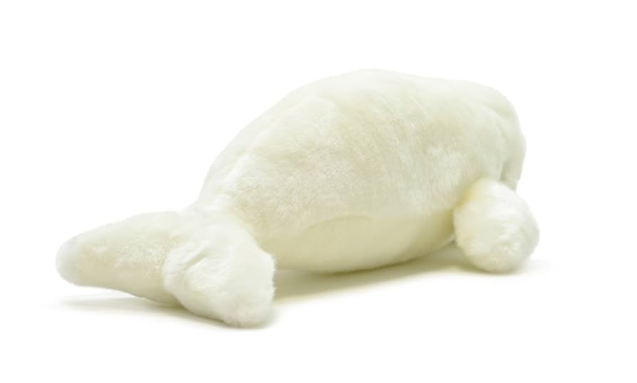 Amazon.co.jp: AQUA ぬいぐるみ マリン シロイルカ M 00200007