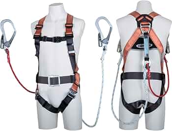 61bLRSOnLDL._AC_UF350,