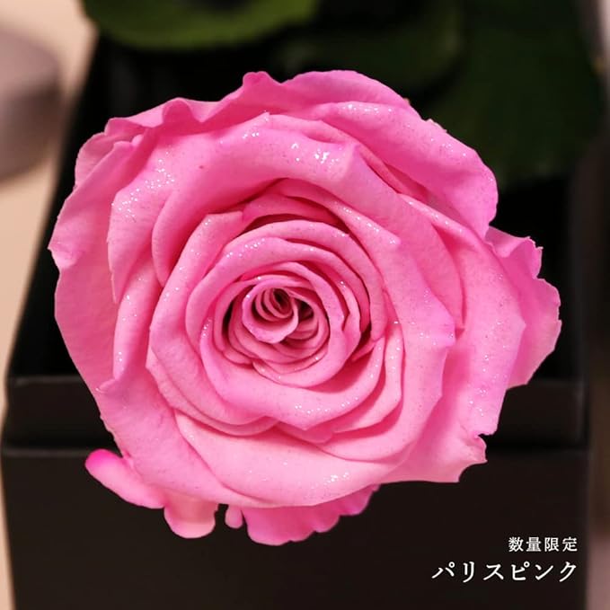 Amazon Makefuture Diamond Rose プリザーブドフラワー 花 誕生日 一輪 バラ プロポーズ ダイヤモンドローズ アモローサ パリスピンク プリザーブドフラワー オンライン通販