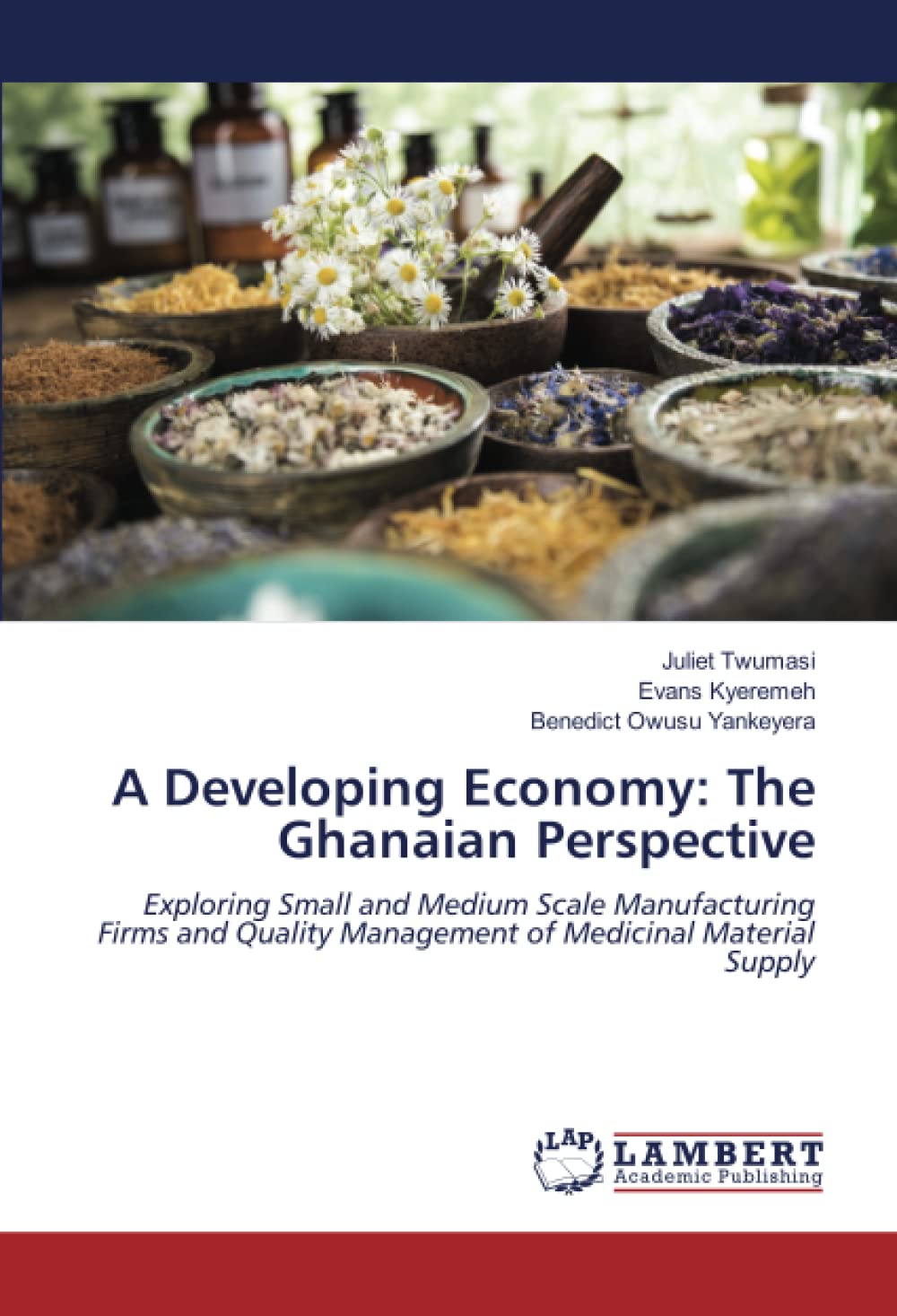 Buy A Developing Economy The Ghanaian Perspective Exploring Small and