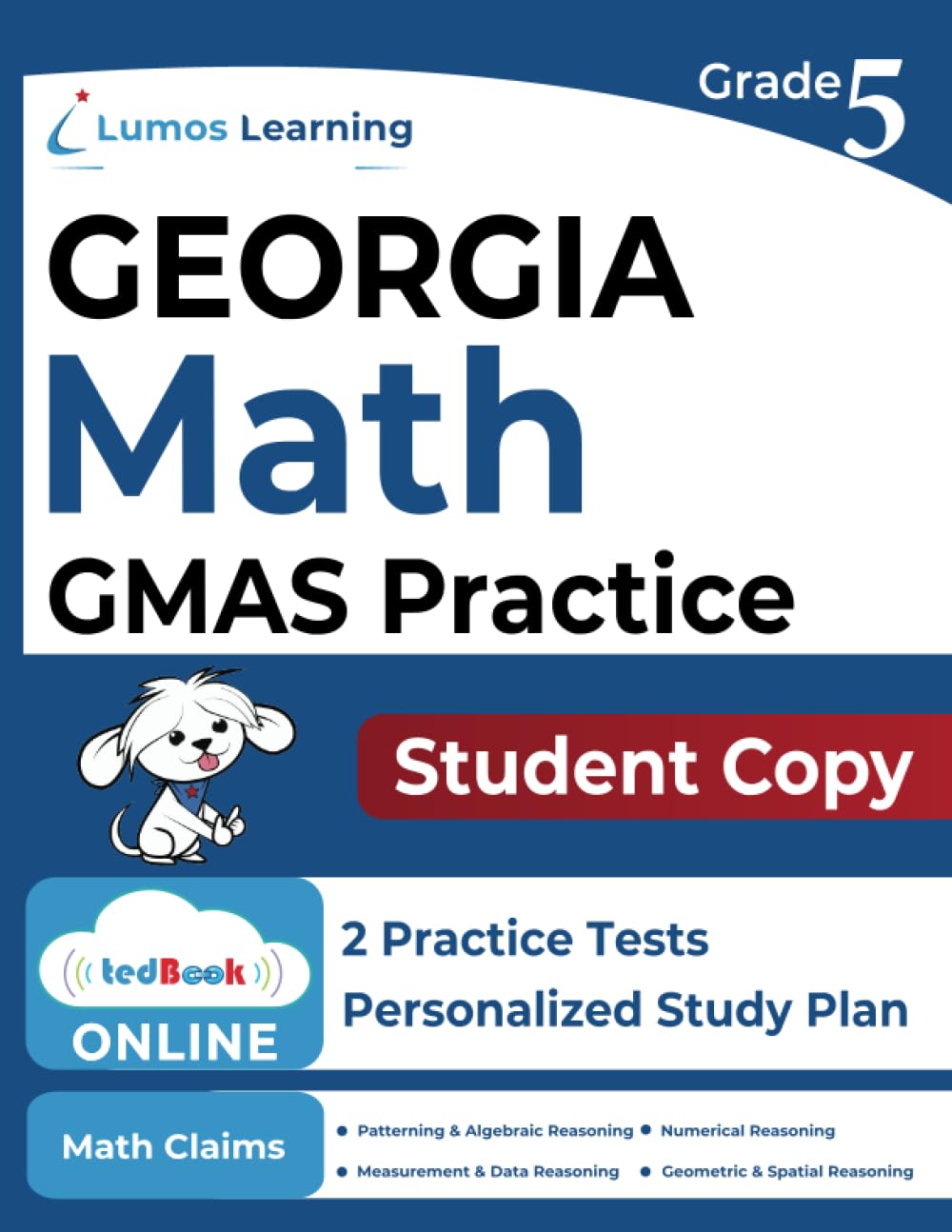 Gmas online assessments and 5th grade math practice workbook student