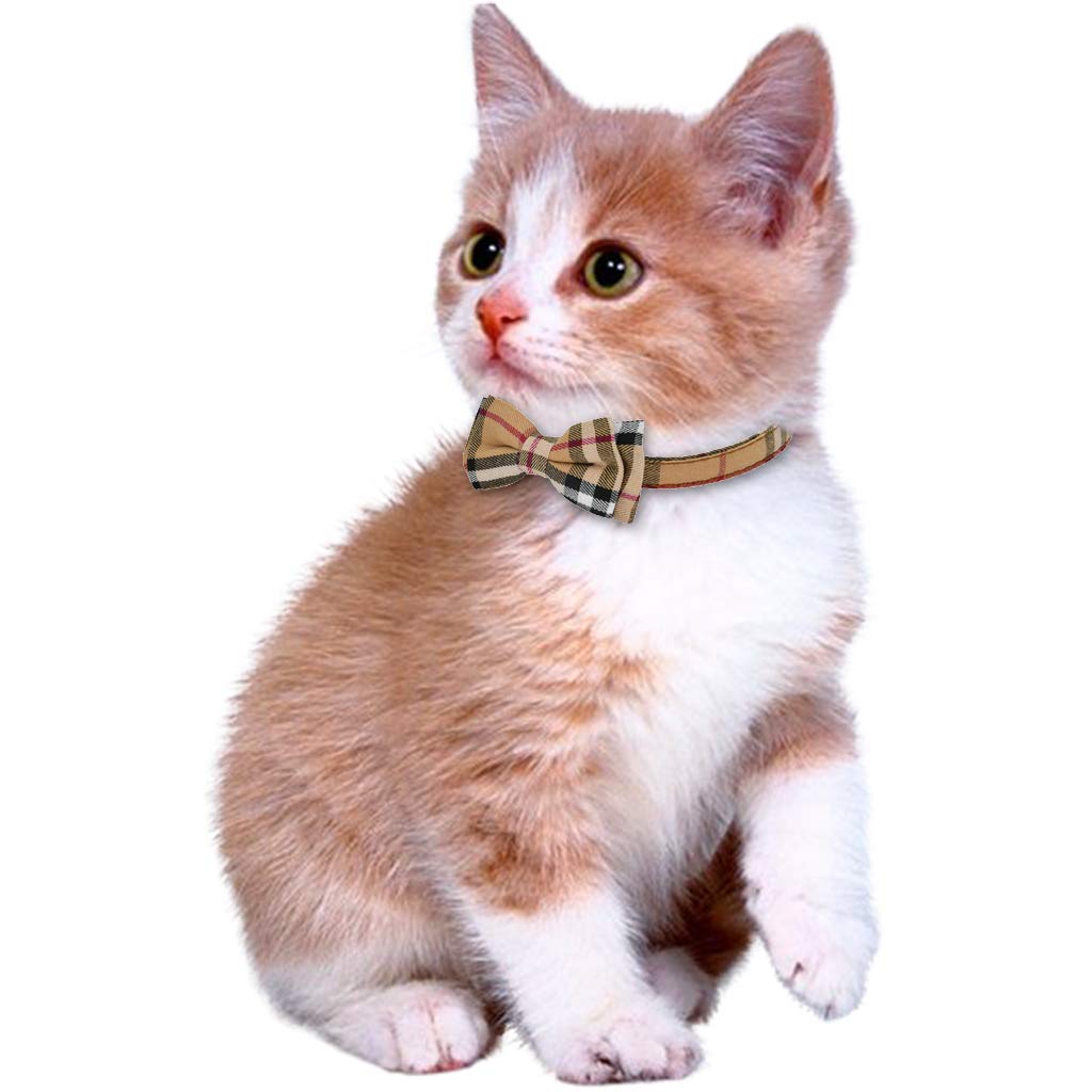 Amazon | Tumao 犬 首輪 猫 首輪 バンダナ 犬 首輪 小型犬 中型犬 2点