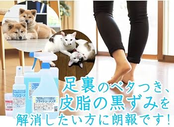 Amazon.co.jp: 業務用フローリングクリーナー フラッシュ・メンテ 2L