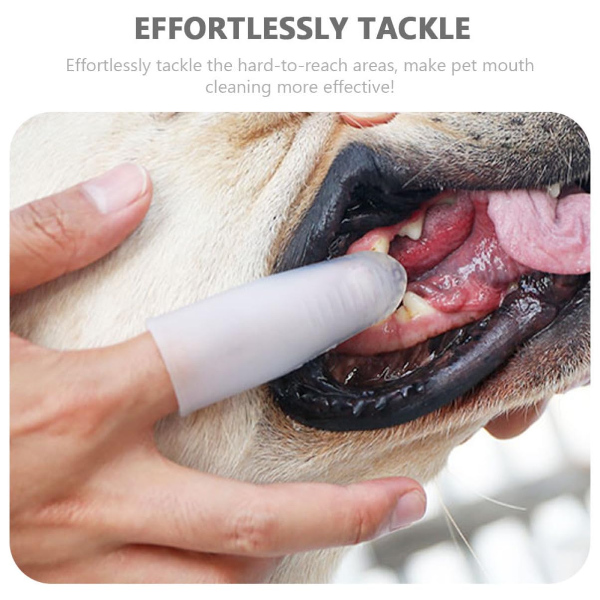 YARNOW 4pièces Brosse à Dents Silicone Pour Chien Outil De Nettoyage Pour Animaux Confortable Pour La Et Éliminer