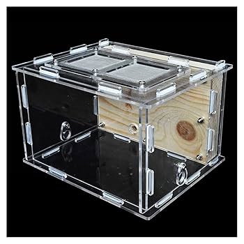 アクリル製アリ飼育キット 自然な岩レイアウト アクリル製アリ飼育キット 自然な岩レイアウト