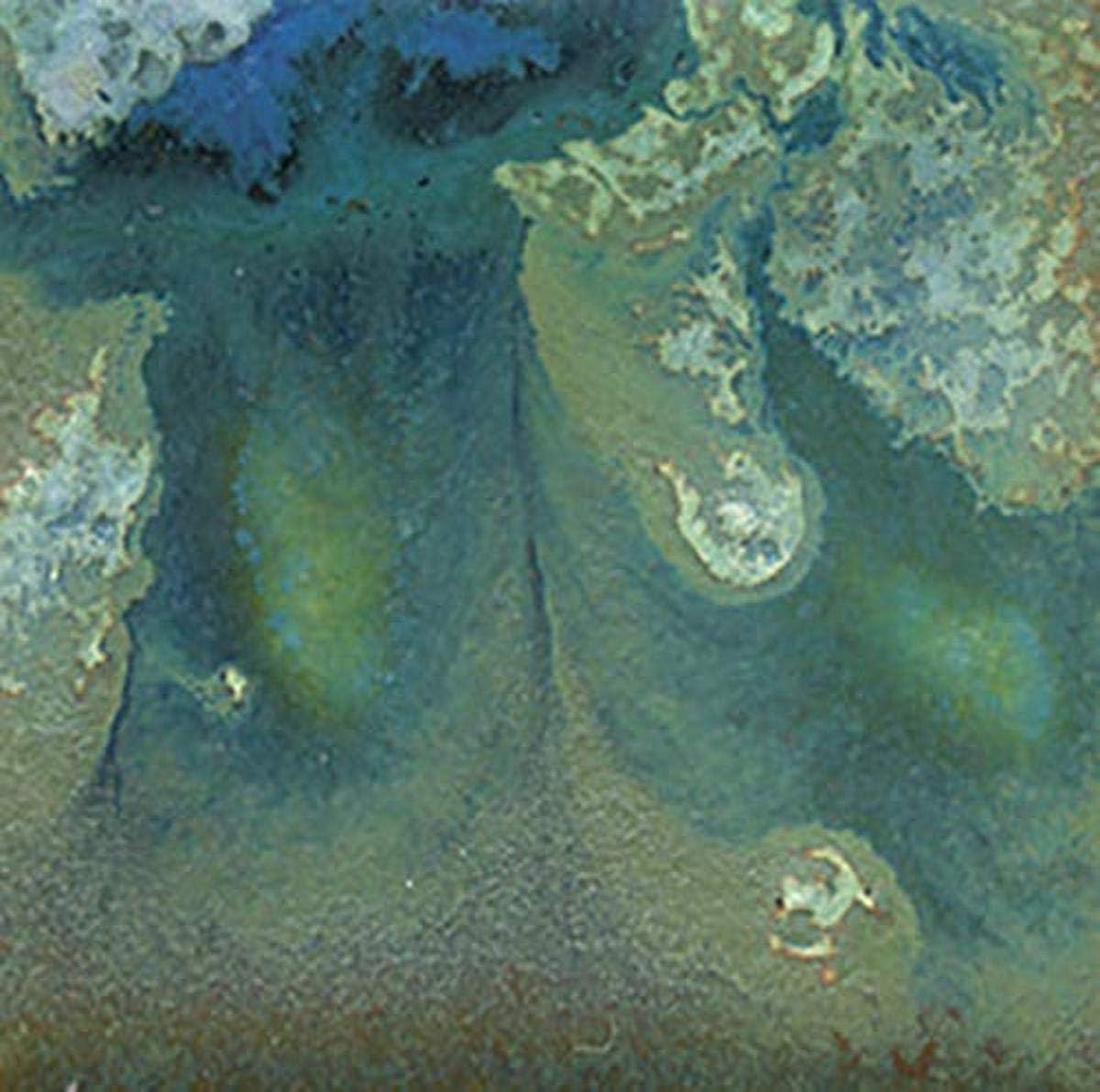 Colors 407326 Elements Chunkies Ceramic Glaze, 1 pint Capacity Bottle, Moss Creek