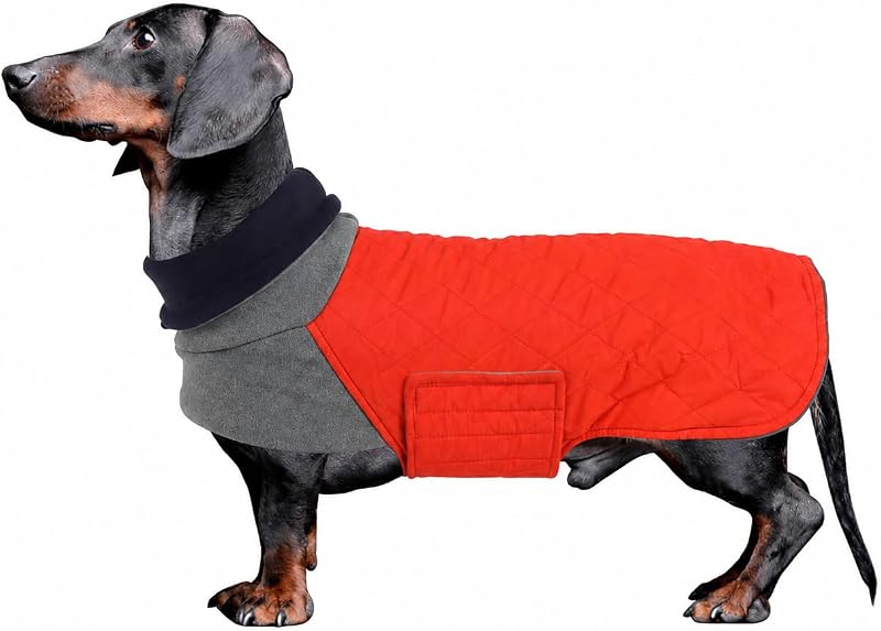 Casaco de Inverno para Dachshund Geyecete com Forro Matelassê e Faixa Abdominal Ajustável