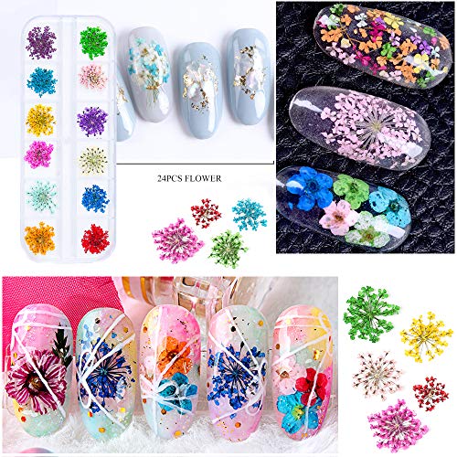 iFancer 108 Pcs Nail Dried Flowers 48 Colors 3D Nail Art Real Flowers Nature Dry Petals Leaves Decor for Nail Art Design Manicure Decoration