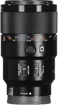 Amazon.com : Sony FE 90mm F2.8 Macro G OSS Lens (SEL90M28G) – Full