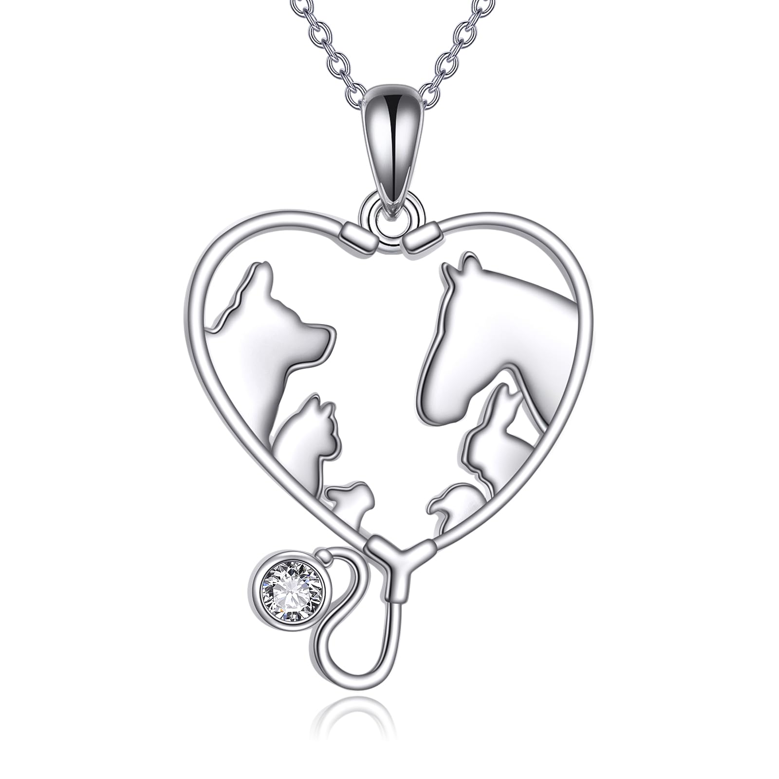 YFN Collar de medicina veterinaria de plata de ley, colgante veterinario, estetoscopio, regalo para mujer