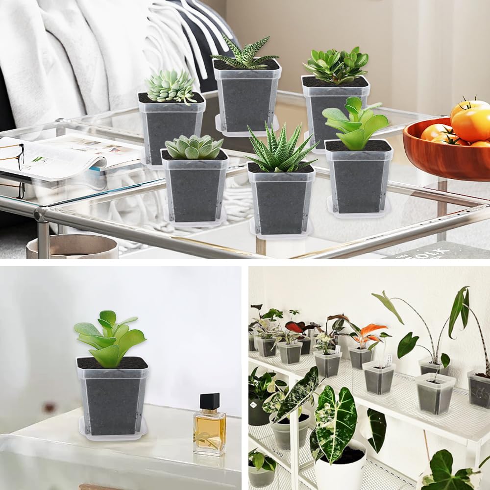 24 Vasi Plastici 7,6 Cm Con Sottovasi: Set Multicolore Per Piantine E Grasse - 5