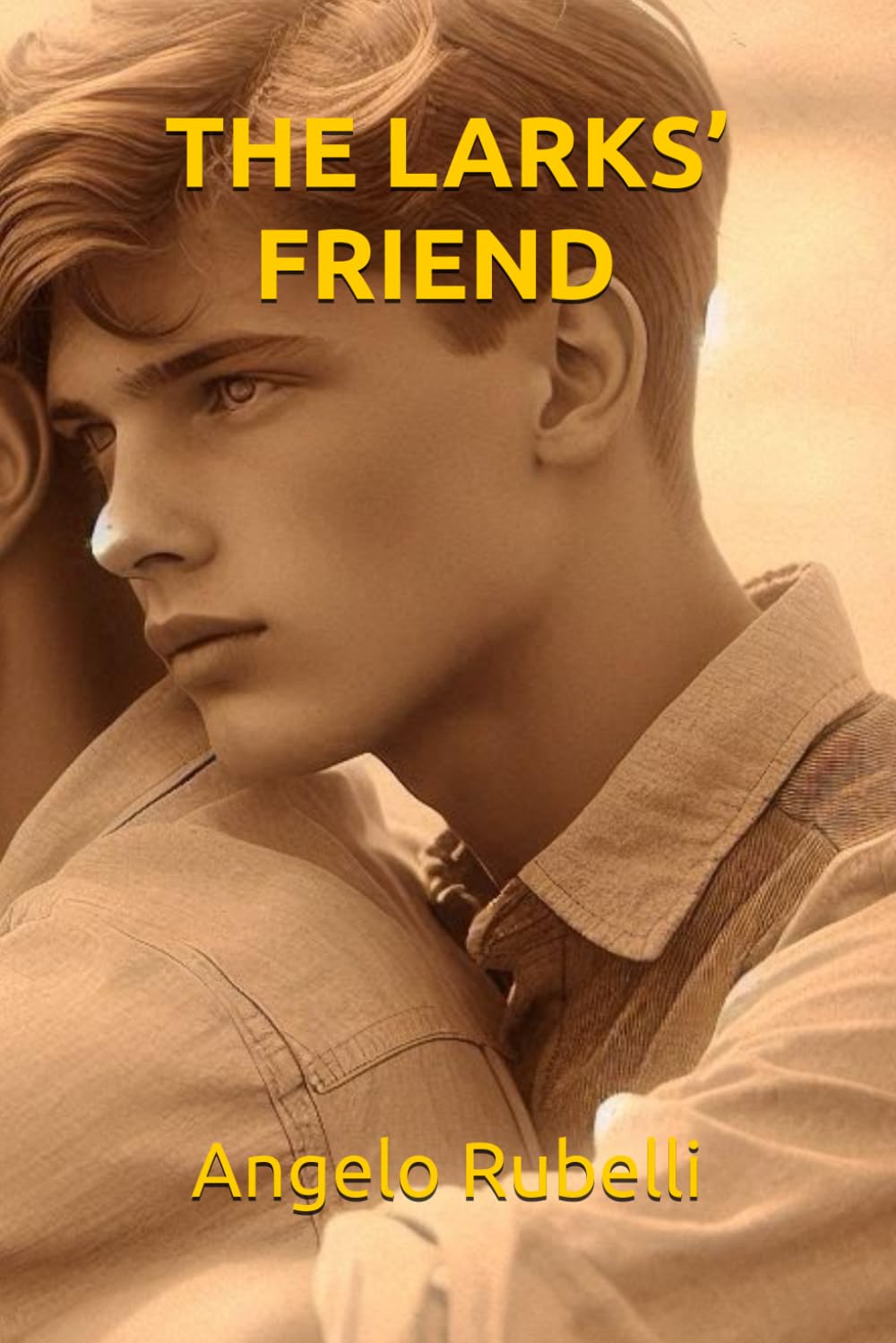 THE LARKS’ FRIEND (UK edition): A coming-of-age MM novel