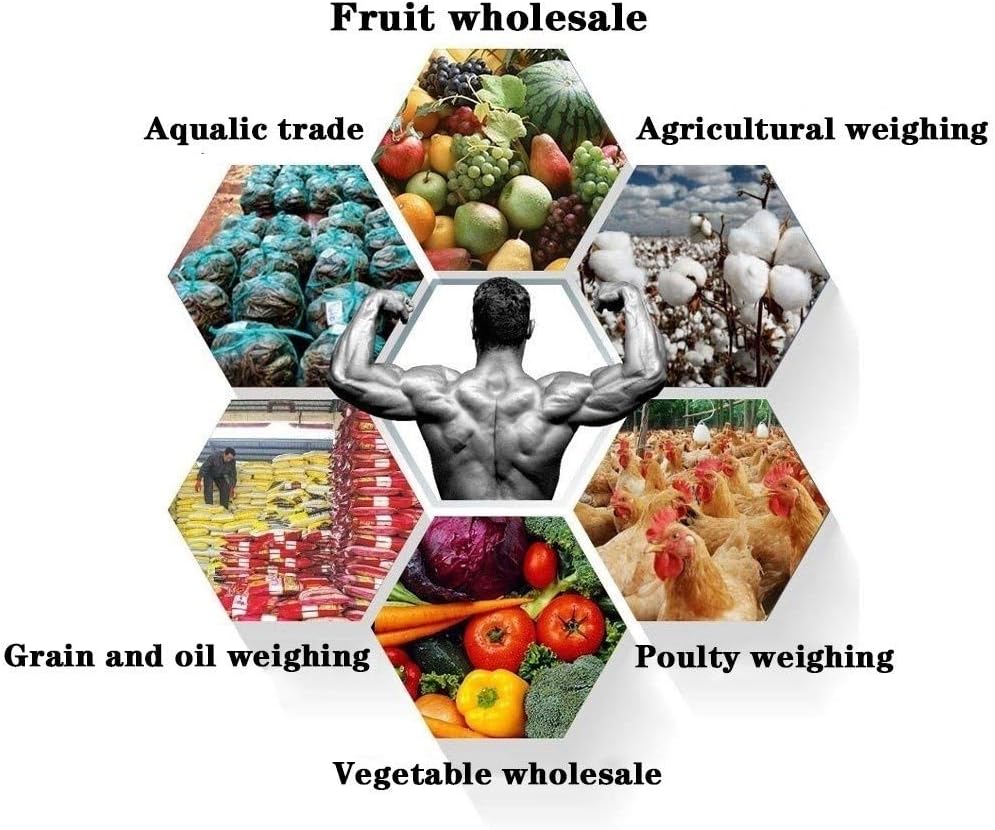 Digital Crane Scale, 300kg/660lb Mini Electronic Scale for Weighing Pigs, Sheep Livestock(Red) (Red)