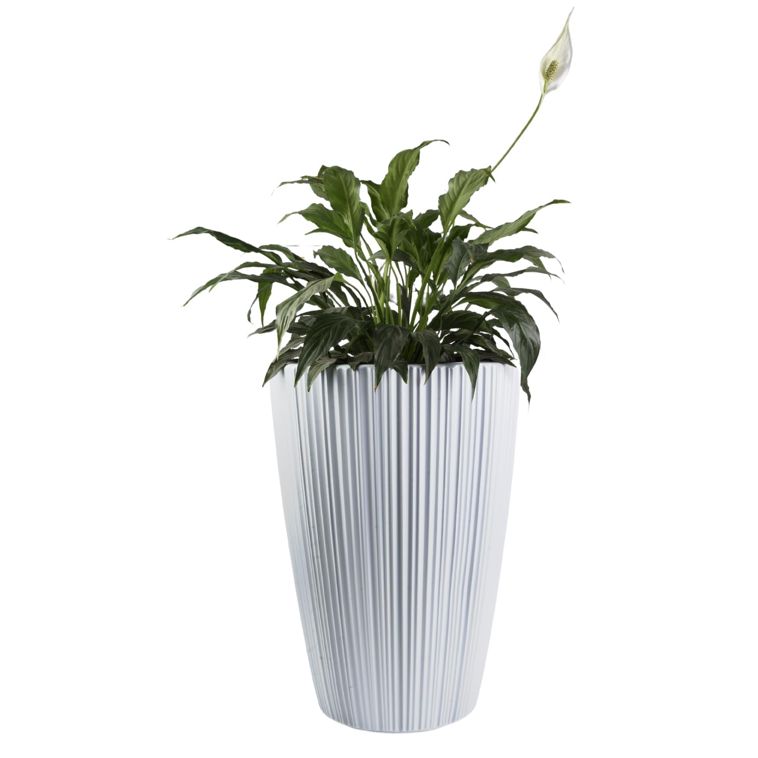 B2C Flowerpot Ridged Planter with removable insert Indoor Outdoor Modern Vertical grooves textured for home office patio garden decoration (White, W30cm x H40cm)