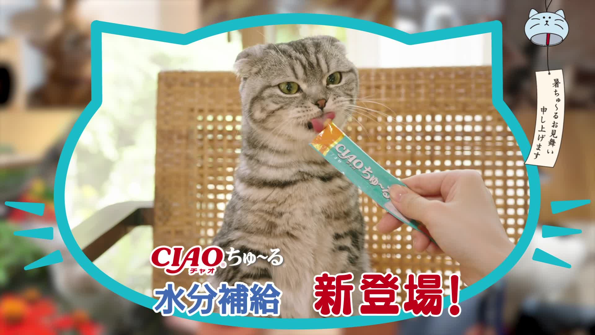 Amazon.co.jp: チャオ ちゅ~る水分補給24本入り : ペット用品 Amazon.co.jp: チャオ ちゅ~る水分補給24本入り : ペット用品