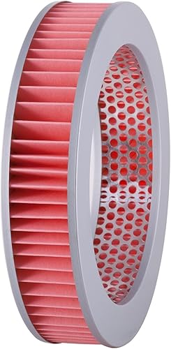 Filtro de aire compatible con Datsun Sedan 1975 1976 1977 1978 1979 1980 1981 1982 1983 1984 PC-298534