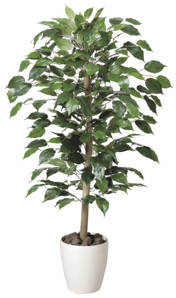 光触媒　人工観葉植物　ベンジャミナスプラッシュセパレート 300cm 光触媒 人工観葉植物 ベンジャミナスプラッシュセパレート 300cm