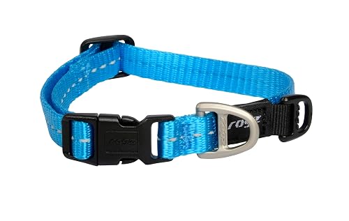 Collar clásico para perro, talla XS, turquesa