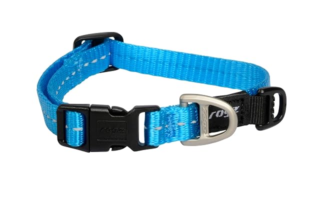 Collar clásico para perro, talla XS, turquesa