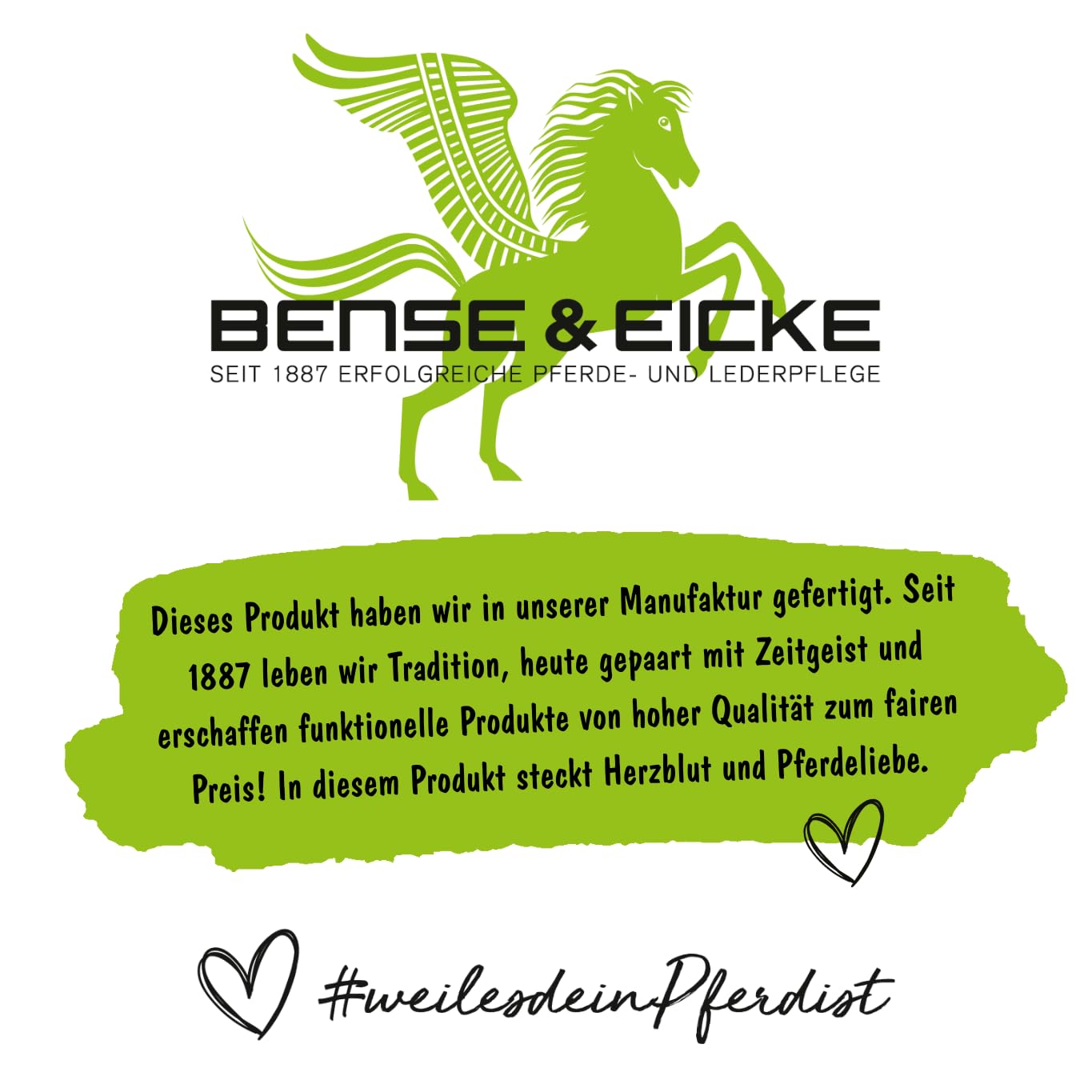 Bense & Eicke Aceite de linaza prensado en frío, 2500 ml, aceite de alimentación para caballos, rico en ácidos grasos omega-3, aceite de linaza 100% puro, fabricado en Alemania